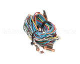 12-2509-0001 Fbd Assembly, Temp Sensor Wire Harness
