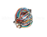 12-2509-0001 Fbd Assembly, Temp Sensor Wire Harness