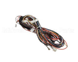 12-2619-01 Scotsman Wire Harness