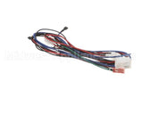 12-2976-01 Scotsman Harness-Low Voltage