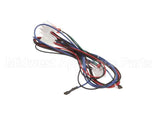 12-2976-01 Scotsman Harness-Low Voltage