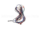 12-2976-01 Scotsman Harness-Low Voltage