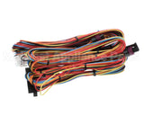 12-3116-0082 Fbd Harness, Analog, 774, V1