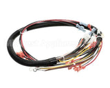 120031 Duke Harness Control Ac