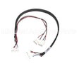 120033 Duke Harness Main Can Vdc Pw