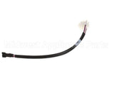 120096 Newco Harness Main Lower