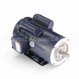120274 Leeson Motor