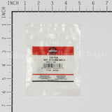 120376MA Briggs & Stratton Nut-.31-18 Reg Hex Zi