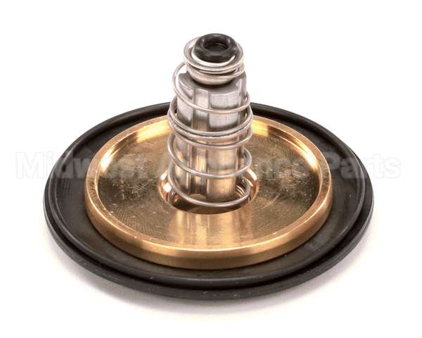 12041 Gaylord 1 Valve Repair Kit