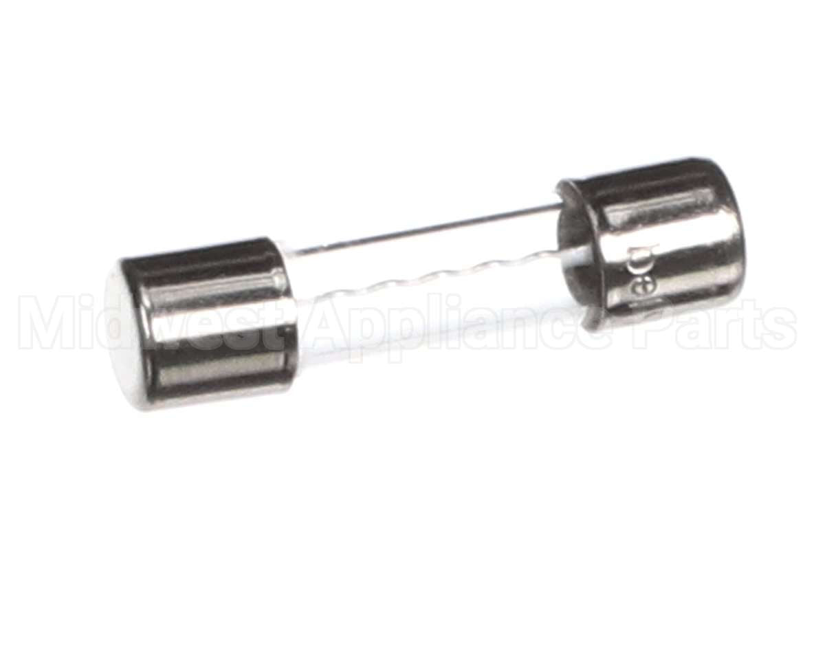 120500 Duke 10 Amp Fuse