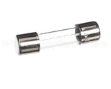 120500 Duke 10 Amp Fuse