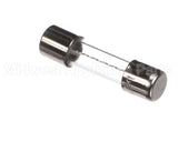 120500 Duke 10 Amp Fuse