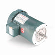 121067 Leeson Motor