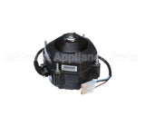 12190510 Hoshizakifan