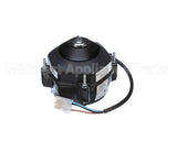 12190510 Hoshizakifan