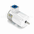 121944 Leeson Feather Picker Motor