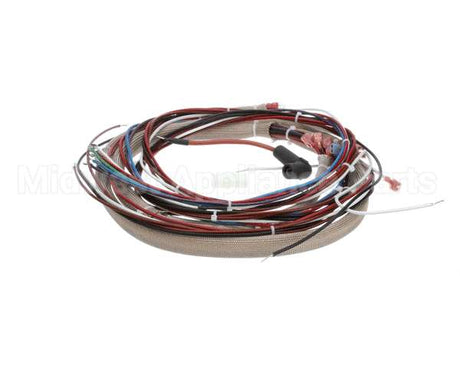 1221 Royal Range Wire Harness For Rr-C