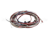 1221 Royal Range Wire Harness For Rr-C