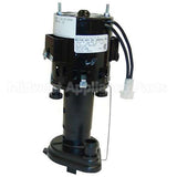 12258624 Compatible Scotsman Pump/Motor Assembly - 115V