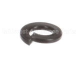 1226 Globe Lockwasher