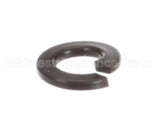 1226 Globe Lockwasher