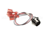 12274.0001 Bunn Socket Ay W/Leads,Intfc(3W-7