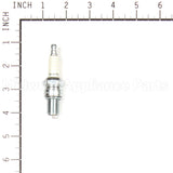 123 Champion Rn5C Sm Eng Spark Plug