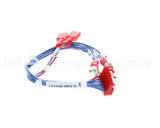 123120 Groen Harness, Timer Motor Hy-3E