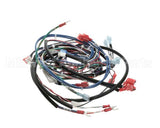 123121 Groen Harness, Control Hy-3E