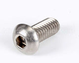 1239 Globe Screw