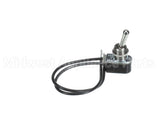 125010307 Hussmann (E)Switch Tog 6Amp 1X878