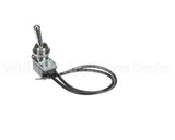 125010307 Hussmann (E)Switch Tog 6Amp 1X878
