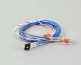 12565.0014 Bunn Triac Assembly, 40Amp W/Fuse H5Ea