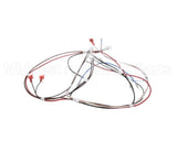 12576.0008 Bunn Wiring Harness, H5 Dgtl Dspl 208V/240V