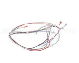 12576.0008 Bunn Wiring Harness, H5 Dgtl Dspl 208V/240V