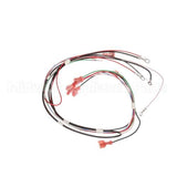 12576.0013 Bunn Wiring Harn, 240V Eca On/Off Sw