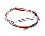 12576.0017 Bunn Wiring Harness, Main H5X Element (Food)