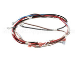 12576.0017 Bunn Wiring Harness, Main H5X Element (Food)