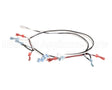 125853 Groen Harness, Power 24 Vac