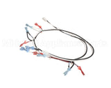 125853 Groen Harness, Power 24 Vac