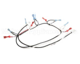 125853 Groen Harness, Power 24 Vac