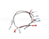 125853 Groen Harness, Power 24 Vac