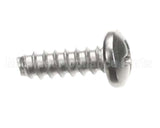 1269 Insinkerator Screw, Tapping