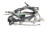 12696201 Amana Menumaster Harness, Hv