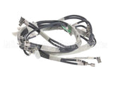 12696201 Amana Menumaster Harness, Hv