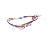 128844J Daikin-Mcquay Wire Harness