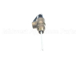 13053-07502 Vanguard Valve, T P 3/4,Mnpt X Fnpt
