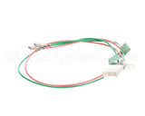 13095501 Amana Menumaster Harness-Interlock