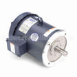 131506 Leeson Motor