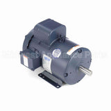 131533 Leeson Motor